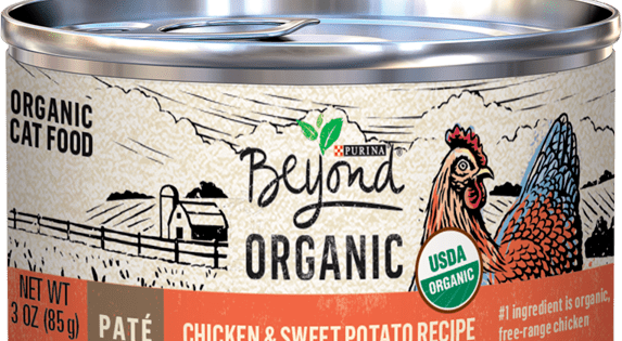 Purina Beyond Organic Chicken & Sweet Potato Recipe Paté